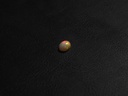 72723DB1-514C-489A-8D0A-AE381AB9216F.jpeg