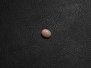 FE5D8F65-AE49-4BA5-82D8-F5F42AEC0815.jpeg