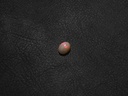 D1F6581A-4668-483C-9938-47A3141D6FEC.jpeg