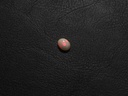 26D71417-9386-4880-8A74-9FA48C25FD9B.jpeg