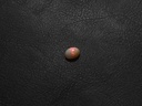 AA611DE1-F00D-4773-8596-FBB91FD597B8.jpeg