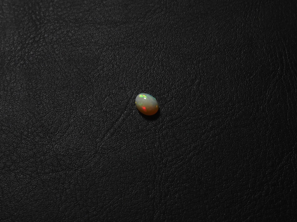 1EDC0663-4A3A-41A8-B4EB-BA1536D3661B.jpeg