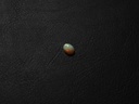 1EDC0663-4A3A-41A8-B4EB-BA1536D3661B.jpeg