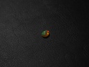 FA55ACF8-539C-45D6-9F47-65A3E361DE1B.jpeg