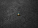 EED55E8C-6604-4C1C-934B-E4704680E360.jpeg