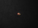 5A190179-3D1A-4300-BDEB-26CD54341674.jpeg