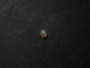 8C66030F-C1AC-45A6-B42A-F9915DEE4AE6.jpeg