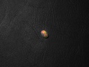 729FA091-97CC-4FA5-971C-E716E4798EE6.jpeg