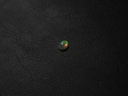2AA6379C-804D-4845-98FF-BC15DC716106.jpeg