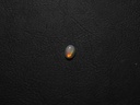 1C37489D-1B25-4838-AB69-D36086AA861B.jpeg