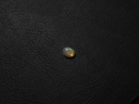 2AF1B543-C181-4447-B99F-37D61433072B.jpeg