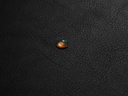 4ED60723-A695-4E25-B2E1-3014A4CE7E5D.jpeg