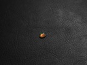 3162AD4C-6DEC-49E1-8C02-F6945EDE7BA2.jpeg