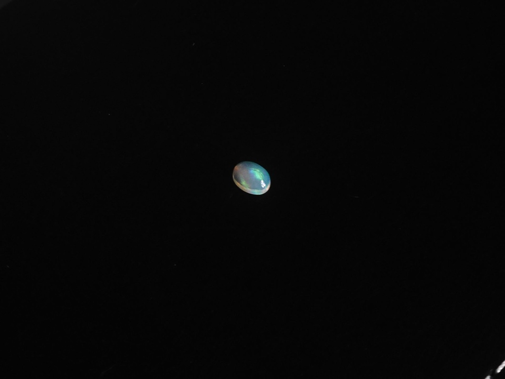 4F56D0F5-3265-4B43-B268-634E064EC3F3.jpeg