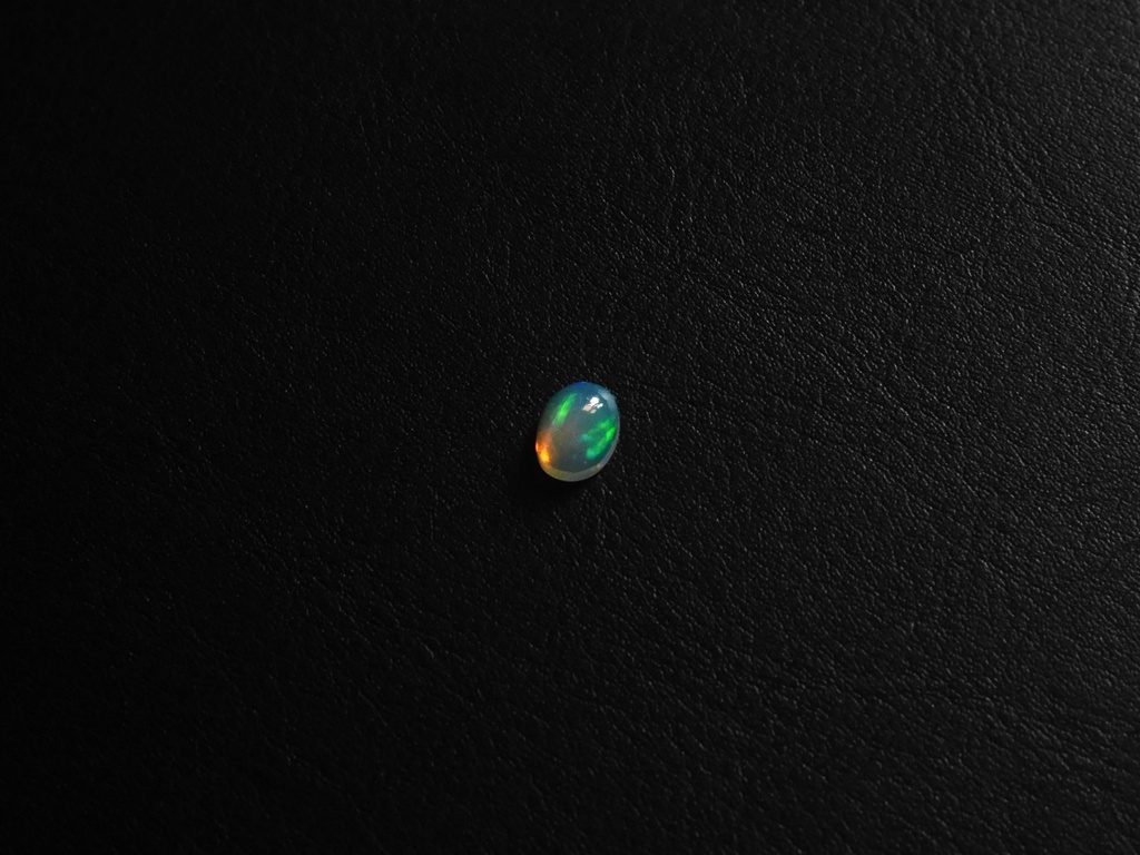C495C5E7-28C0-4D26-B28F-F7B864B1DCA9.jpeg