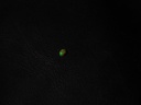D8A98697-783A-444C-8BBC-5B4D816CD8BB.jpeg
