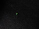 3CE614A5-16A2-4F9F-97FE-4AD6F1713786.jpeg