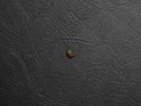 6FF6B63C-A5C5-4C88-B93E-0D7E223B9B63.jpeg
