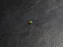 C788FF15-1254-4836-BD11-C12C836FFA63.jpeg