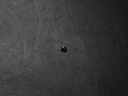 ED9924F0-2AE5-47E3-8775-53D66A390B35.jpeg
