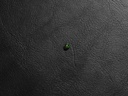 C6653FC7-DD88-43B0-81BF-5FFED76544C6.jpeg