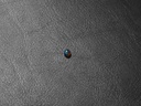 70AEB1C4-5886-417B-BDC4-EEF26648E64E.jpeg