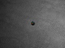 2DA03B49-CC9F-45E1-AB3D-516F7E3DB37D.jpeg