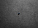 B38541BB-E52E-4252-A62C-1252EF040E5B.jpeg