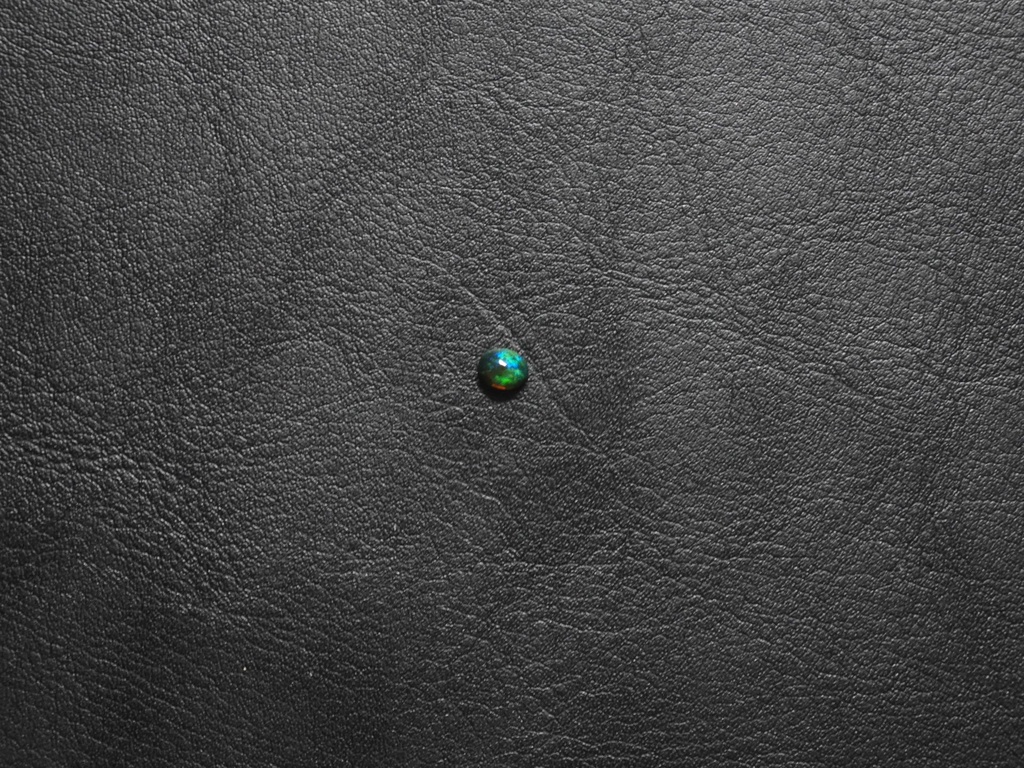 480057CB-8AEC-49FA-84CF-F09375953324.jpeg