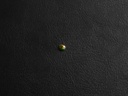 144780D9-AD3E-47A4-84A1-AECD196AB34B.jpeg