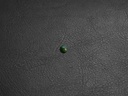 8E7D32E8-3CE6-4BCC-83F5-FA622856C946.jpeg