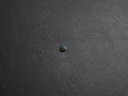 C26FC7CC-93A1-4A5C-8AD8-929B30059EFC.jpeg