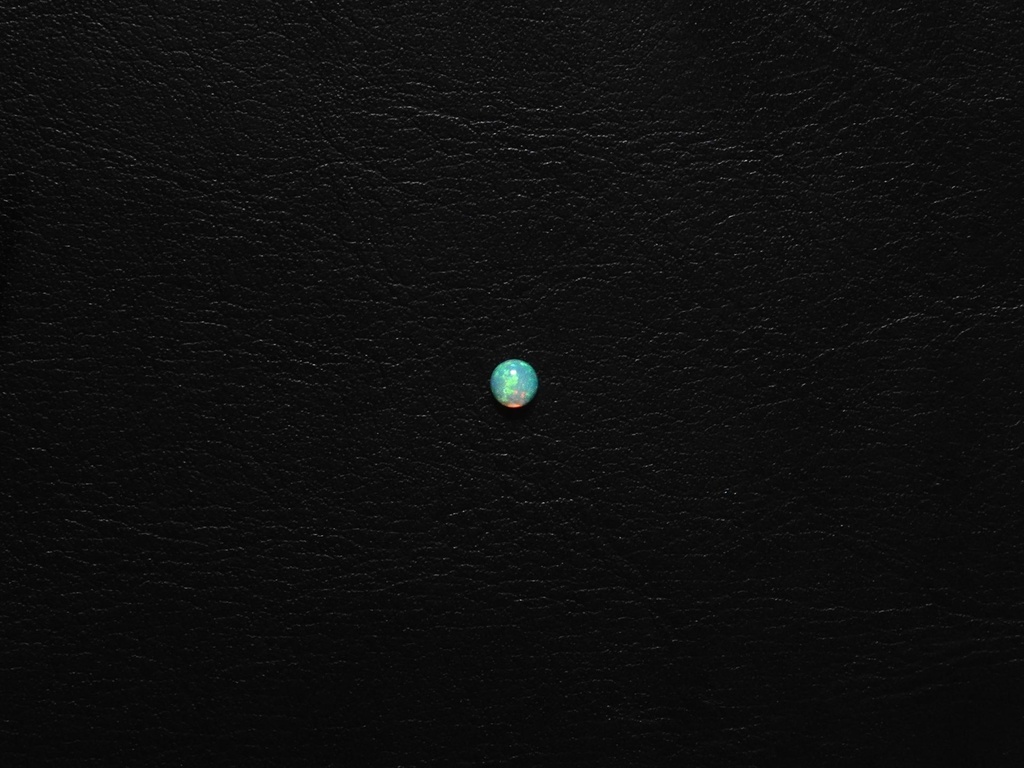 B6E8B24A-5F4F-4014-B9CC-DE89E32C264C.jpeg