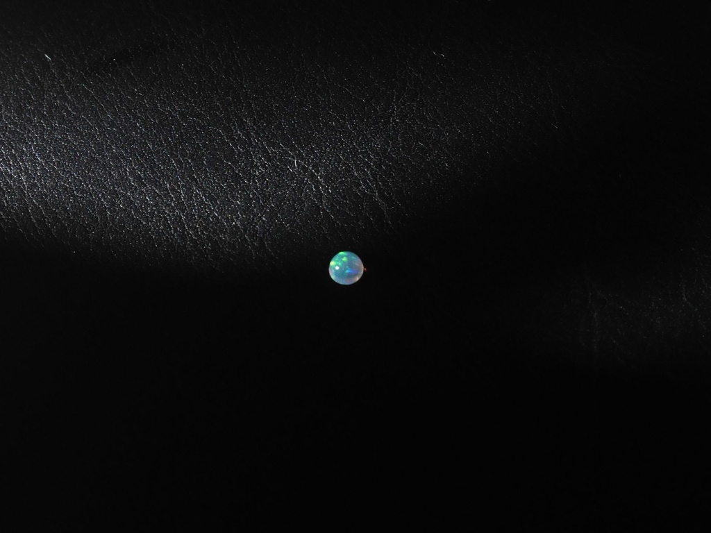 C1220D2C-4BDA-46F0-ABCD-216C7109EF88.jpeg