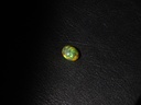 36614025-F89E-4C74-9AA3-86816762B145.jpeg