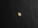 0AD20F36-7543-46AD-B289-5EA4D46CDEA8.jpeg