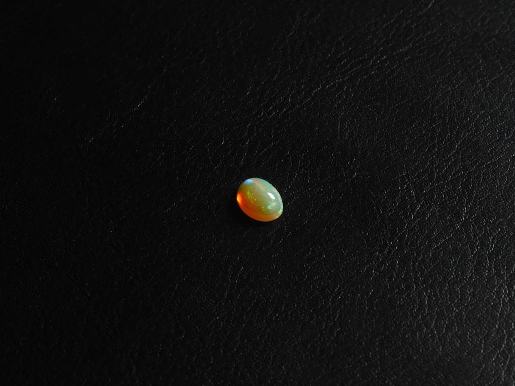 2343635A-3038-4AF4-B6EB-8F18CB9B6F88.jpeg