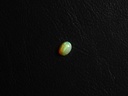 6CD0030E-8150-4048-926A-D2881B2FD401.jpeg