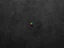 Black Opal (BOS04)