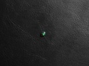 Black Opal (BOS05)