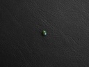Black Opal (BOS10)