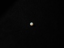 White Opal (WOSS06)